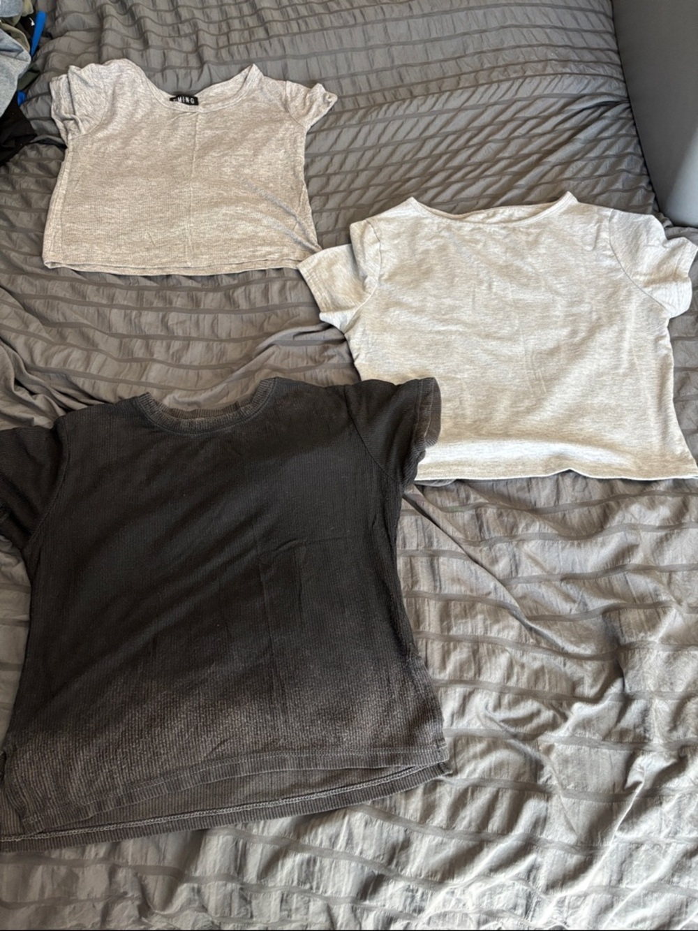 Amazon Women's Crop Top Trio - Black & Light Gray